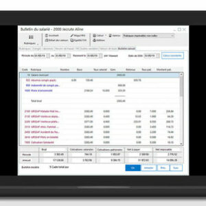 Программное обеспечение для расчетов, Sage 100 Paie & RH, Sage bäurer GmbH