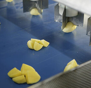 Машина для нарезки овощей для картофеля, Eagles eye, Finis Foodprocessing Equipment B.V.