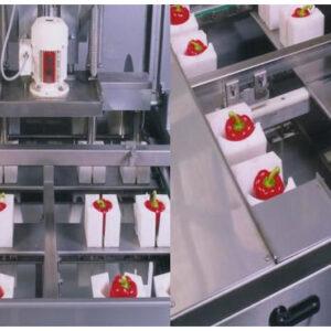 Машина для удаления сердцевины для сладкого перца, , Finis Foodprocessing Equipment B.V.