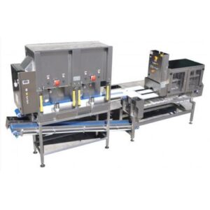 Станок для резки ломтиками и кубиками для дыни, SCMA, PND Fruit Processing Machinery