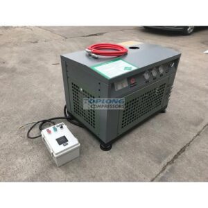Компрессор для природного газа, TP-3, Wenling Toplong Electrical & Mechanical Company