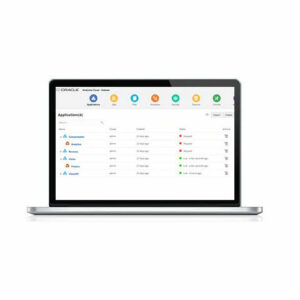 Программное обеспечение для анализа, Essbase, Oracle